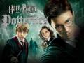 Potterites!