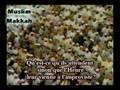 Sourate 47 Mouhamed Récitation Shaikh Soudaissi & Shuraim