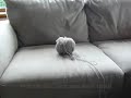 Twined knitting - how to untwist the yarns easily