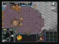 videos de Proleague '08-'09 FirebatHero vs. Savior 3set 1/2 (Eng. Com.