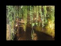 Click here to watch this video Be Brave.wmv
