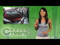 Daily Greens 85 - Get Your Eco News Fast! Daily Greens 85 - Get Your Eco News Fast!