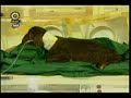 Iranian Scientists Clone Sheep