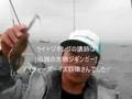 鉄ジグ「スイムライダー65g」のライトジギング