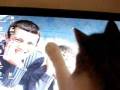 videos de quand le chat attrape la souris...