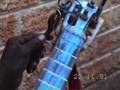 Guitar Fine Tuning in Bloemfontein