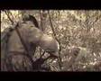 Operation Woodland Outposts II airsoft battle