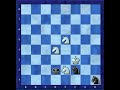 longest mate 3 Knights vs 2 Knights longest mate 3 Knights vs 2 Knights