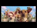 Trailer oficial de un chihuahua de beverly hills