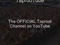 this is from ozzfest 2001. pretty cool mosh pit during the bridge.
