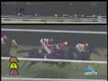 061014京都11Rデイリー杯2歳ステークス(G2) オースミダイドウ