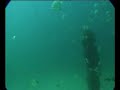 Was this a mermaid? - ¿Es esto una sirena? Was this a mermaid? - ¿Es esto una sirena?