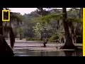 Ice Age People in Florida?