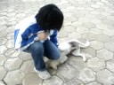 Os cachorrinhos do CAC.