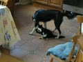 DSCN0391.MOV