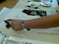 譚老師山水畫