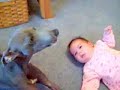 Dog and Baby Crying together