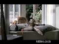 FUNNIEST KITTIES Teletext Holidays Found the Remote