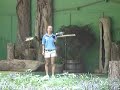 talking-parrot.html