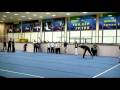 Open carpet on tricking [part1] -- Moscow 2008
