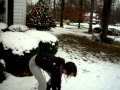 playin in the snow!