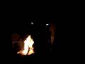 videos de Gasoline Meets Fire