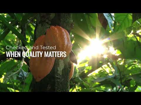 Video - Gluten Free Wholesalers