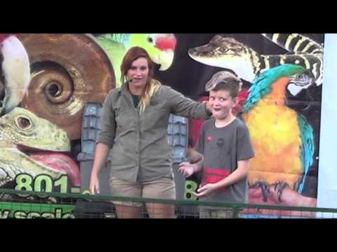YouTube reptile video