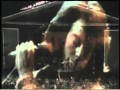 Hot August Nights - Neil Diamond