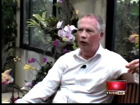 how to dye orchids
