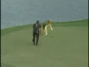 The life of Sergio Garcia (Vol.3)