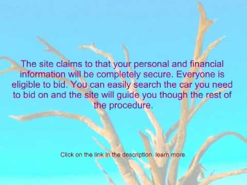how to bid on irs auctions