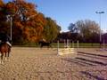 videos de Springstunde im RTC Timmel (Draussen)