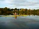 ANA Sculler in Waterford ANA Sculler in Waterford