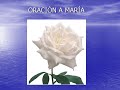 oración a maría   video 18