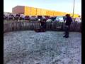 videos de 03122008035.mp4