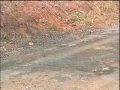 Police in Norman found a body inside the back of a burned-out vehicle on Sunday morning.