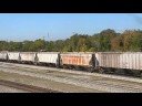 NS 8830 Leads NS 124 at Coffey\