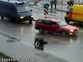 MALDITA CACHA�A