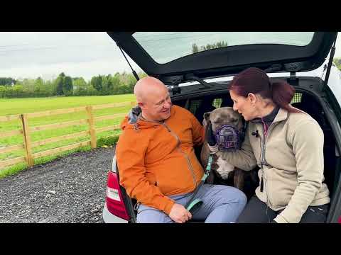 Standing Up for Our Dogs: XL Bully Owners Speak Out with Kindness – The