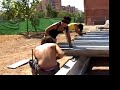 Preparación vigas Preparación vigas