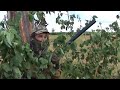 Duejakt 2008, Pigeon hunting 2008 by Kristoffer Clausen Duejakt 2008, Pigeon hunting 2008 by Kristoffer Clausen