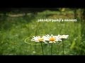 Nejkačka.eu - reklamní spot 30 - HD
Nejkačka.eu - reklamní spot 30 - HD
