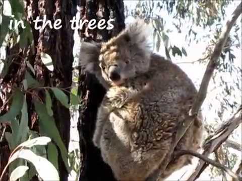 a very special Great Ocean Road trip