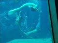 Weeki Wachee mermaids 2007 Florida Weeki Wachee mermaids 2007 Florida