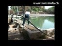 videos de Iraq's deadly water