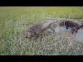 The Great Mud Lab