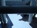 Una peligrosa Hormiga voladora 2