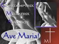 Video - Dr Mark Miravalle - Coredemptrix, Mediatrix, & Advoc