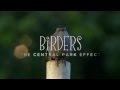 Birders: The Central Park Effect - Official Trailer